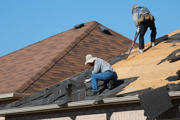 Best Asphalt Shingle Roofing  in Mountain Road, VA